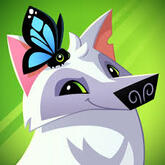 Animal Jam Animal Jam